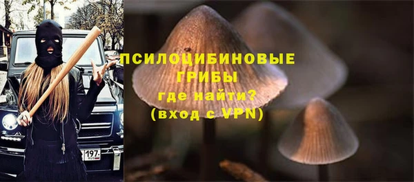 кокс Ельня