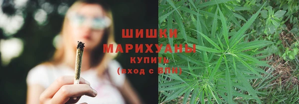 кокс Ельня