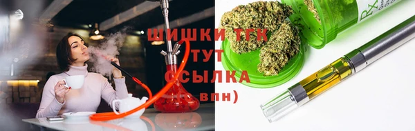 стаф Кедровый