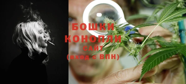 кокс Ельня