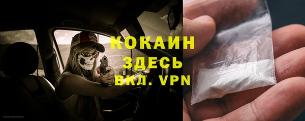 кокс Ельня