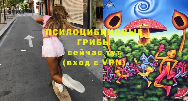 ECSTASY Кемь