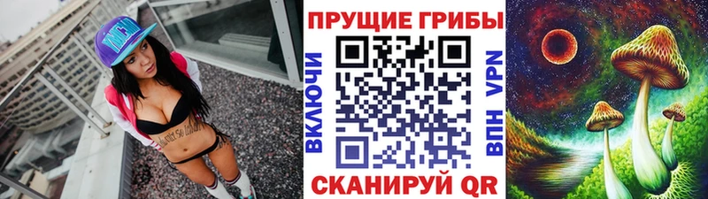 Галлюциногенные грибы Psilocybe  Питкяранта 